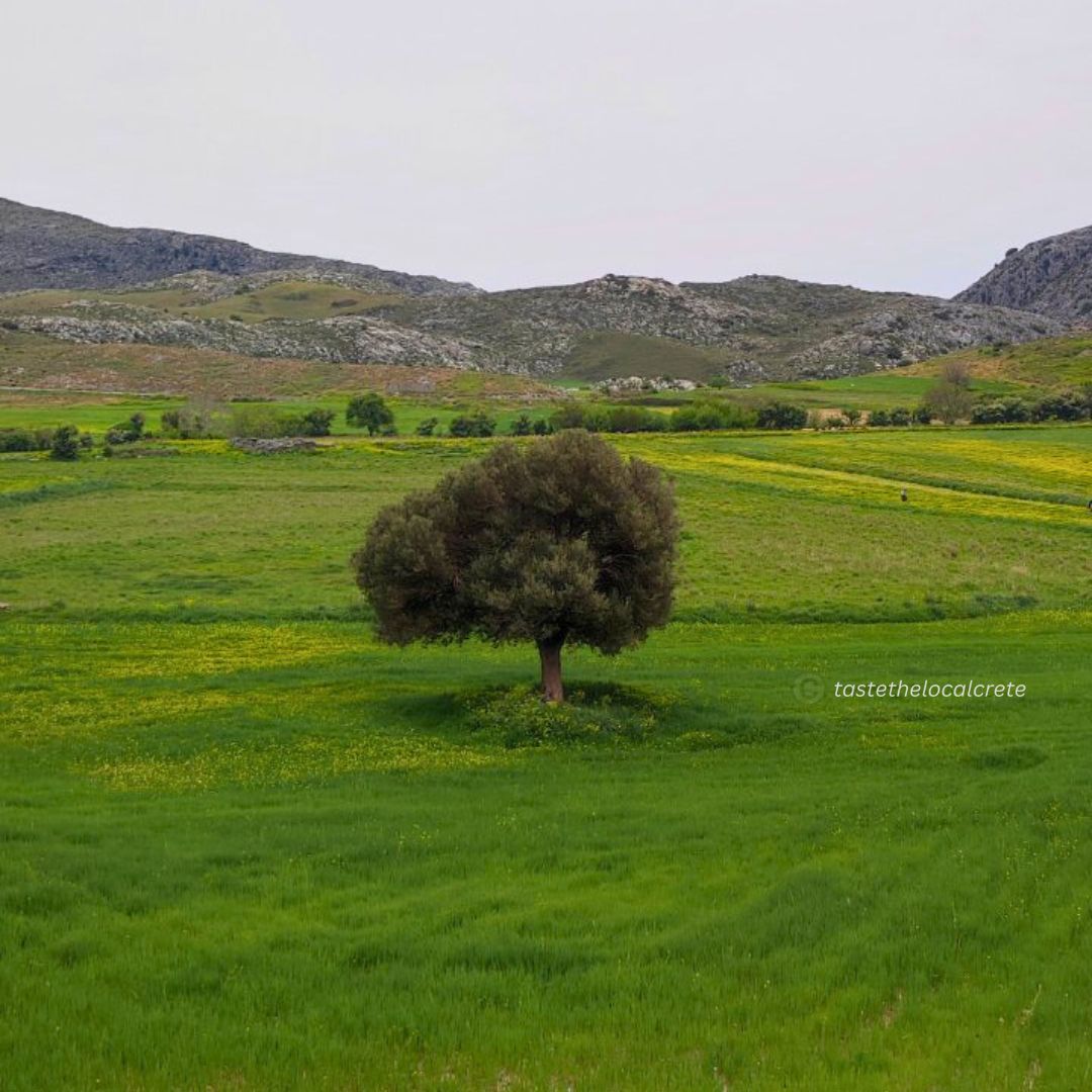 Travel in Crete: Spring Routes Off The Beaten Track