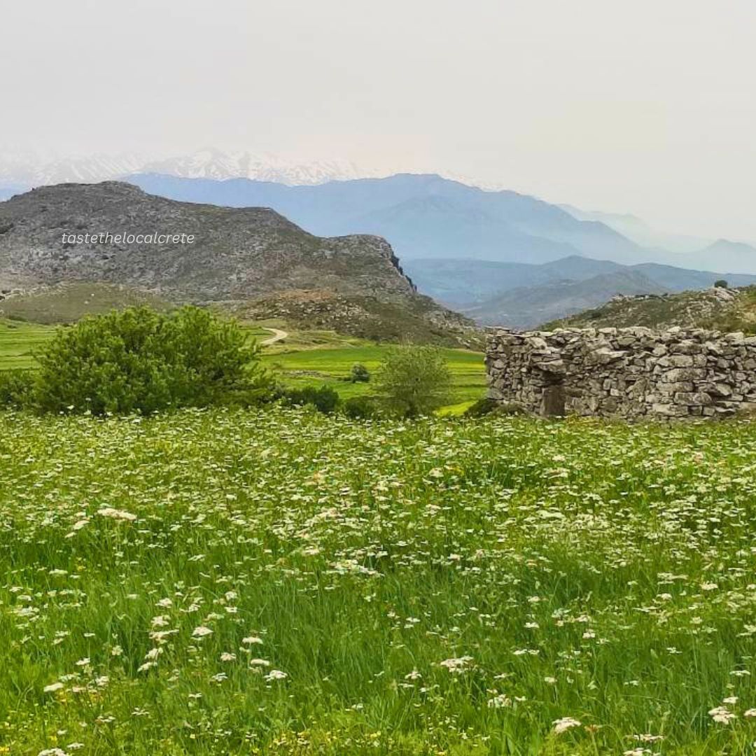 Travel in Crete During Spring: The Red Tulip Valley