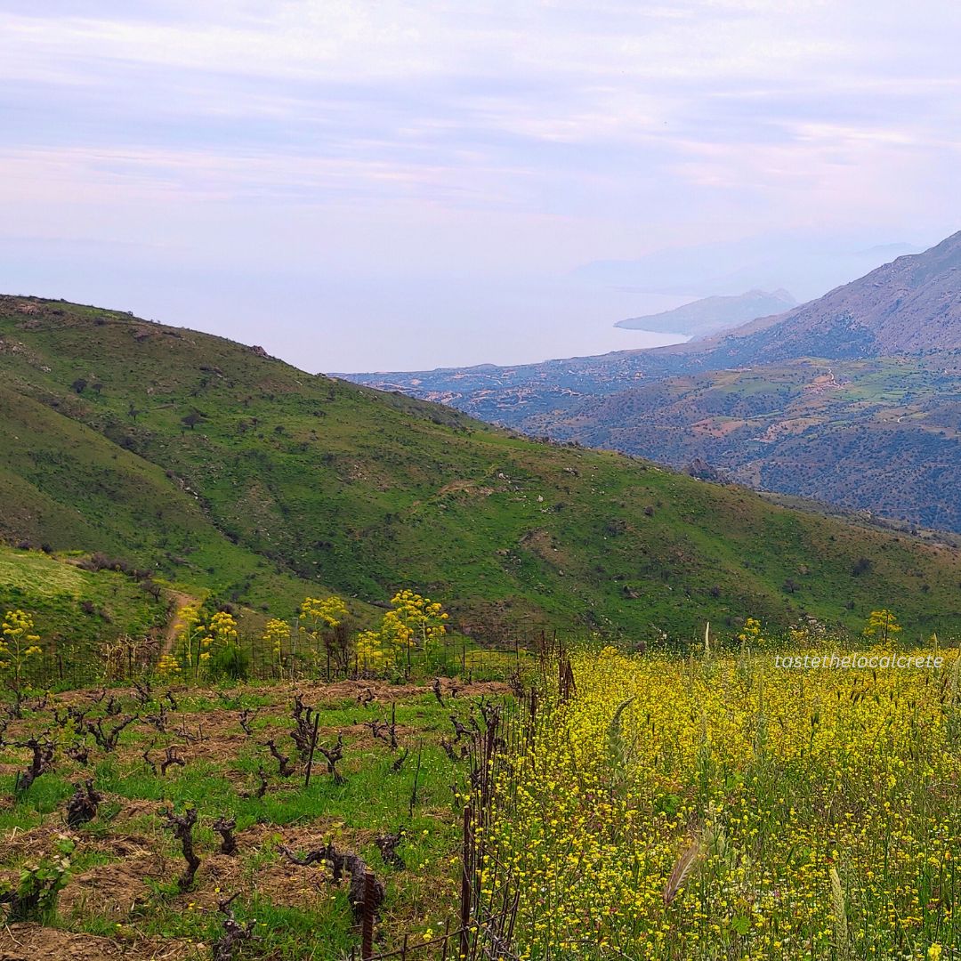Cretan Guide: Find Out Why the Island of Crete offers a Completely Different Experience from the Rest of Greece