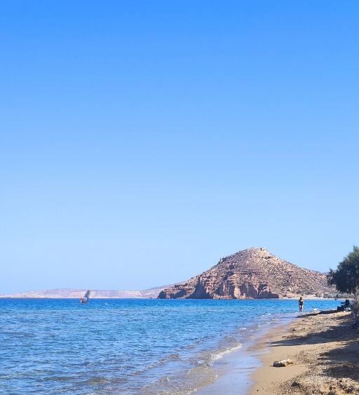 What you get in this local's guide