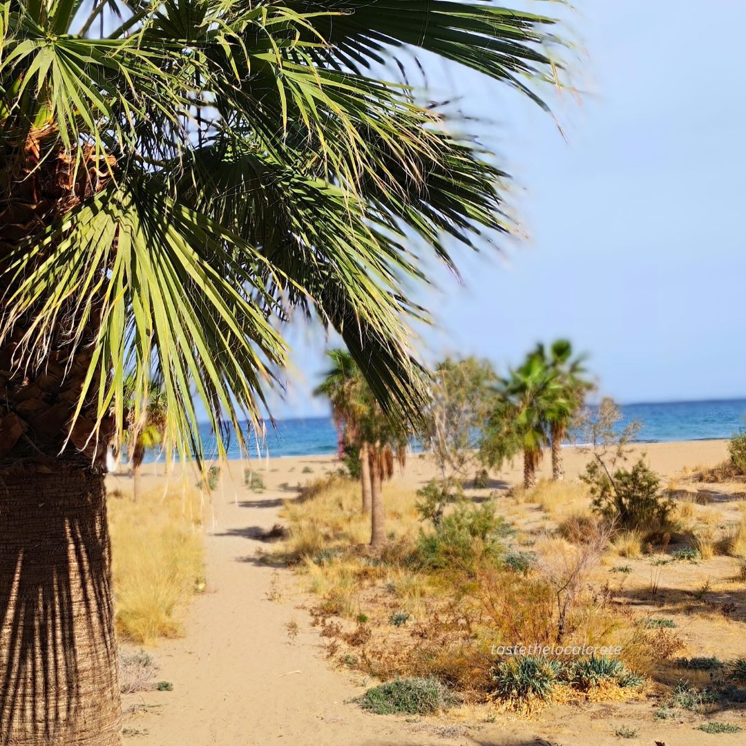 Day trip: What can you do in Rethymno town?